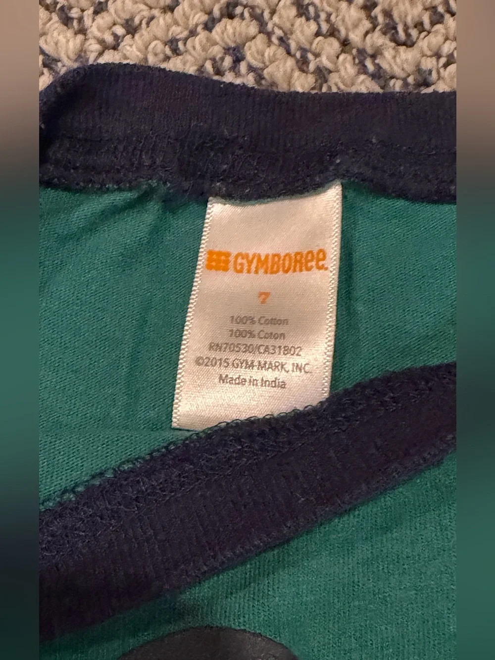 Gymboree Boys Hockey Shirt